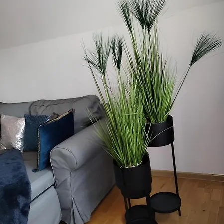 Apartament Na Ratuszu